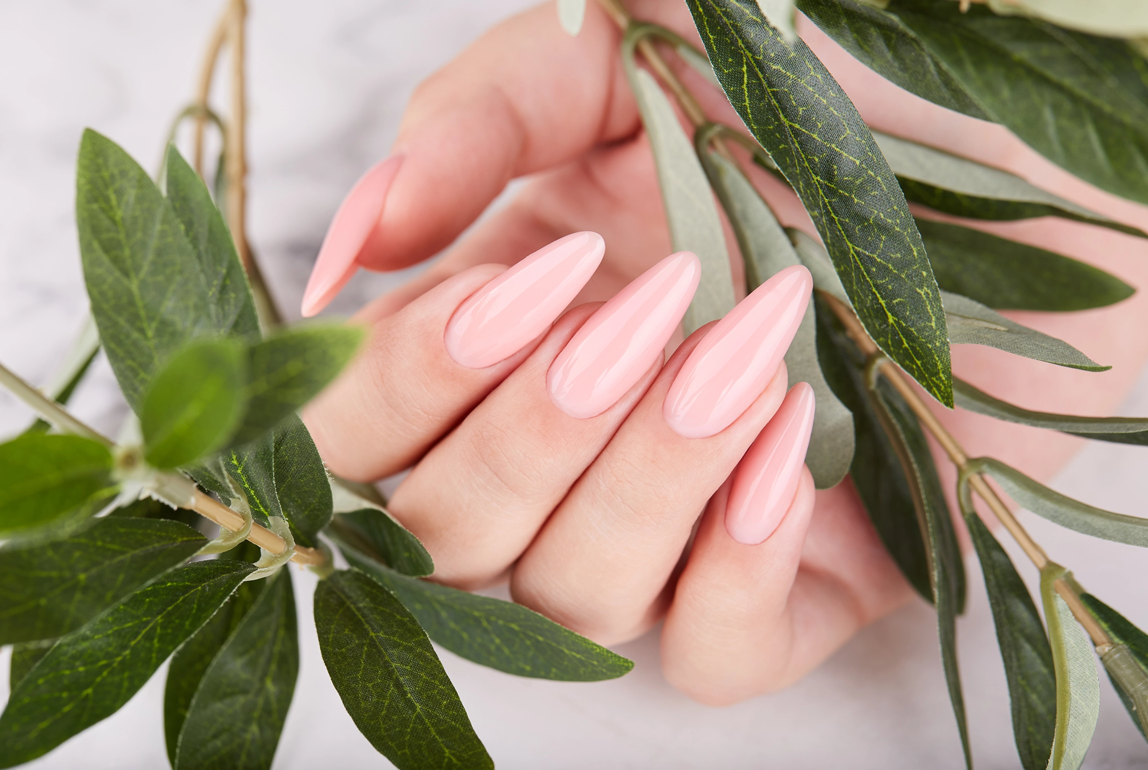 Nagels